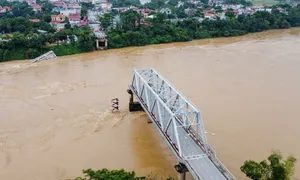 Sẽ chi hơn 9 tỷ đồng để trục vớt cầu Phong Châu